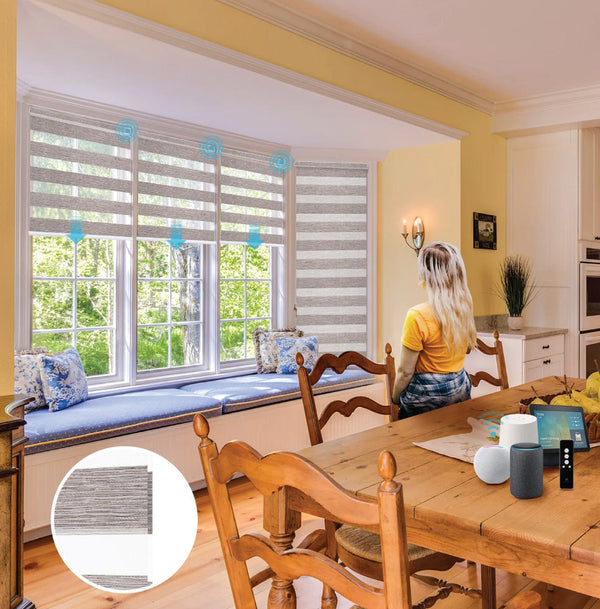 Zebra Blinds