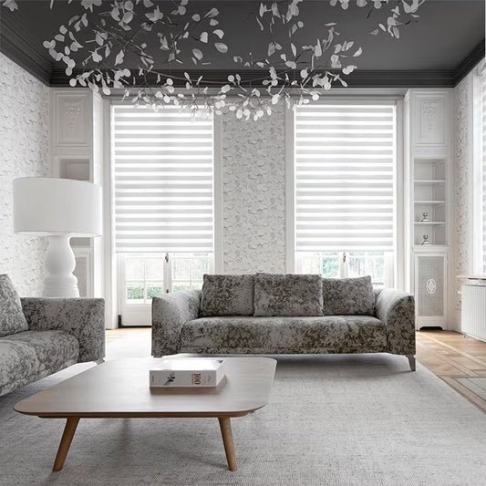 DL20025 Motorized Blinds With Cassette Zebra Blinds