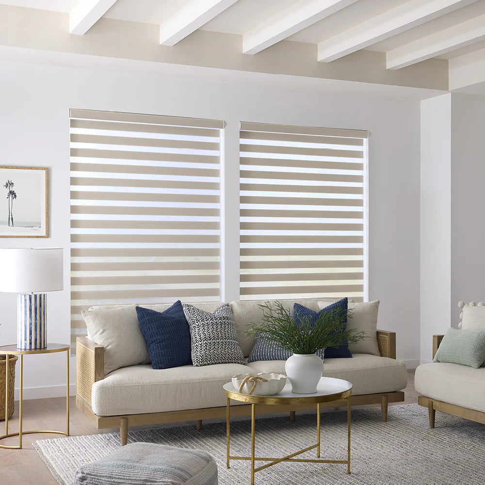 DL22034 Motorized Blinds With Cassette Zebra Blinds
