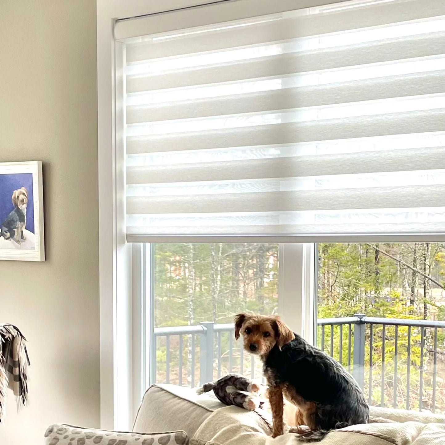 Room Darkening Sheer Shades