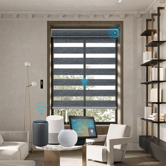 BL2 Motorized Blinds With Cassette Zebra Blinds